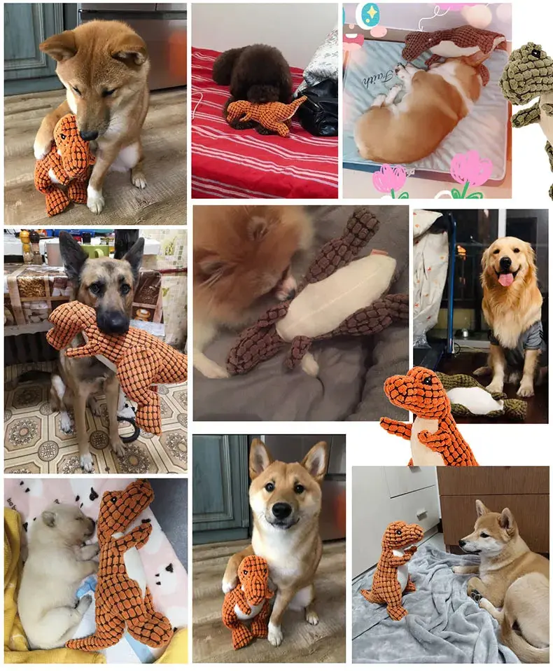 Indestructible Dog Toy MightyRex™ - Image 4
