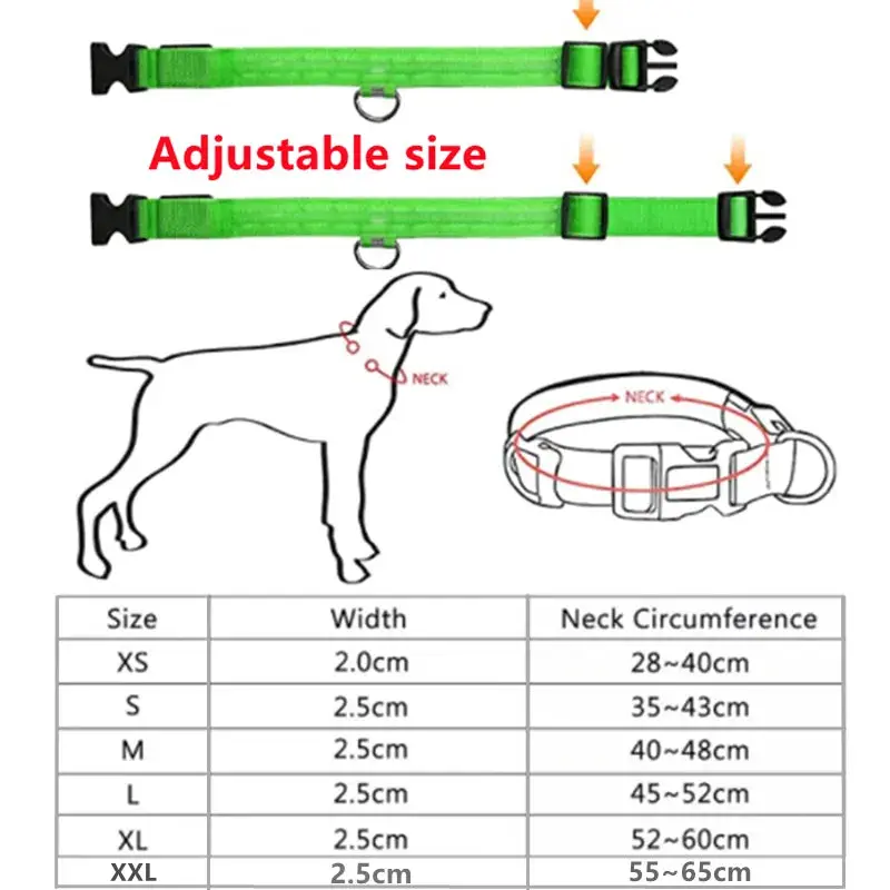 LED Glowing Dog Collar - Image 2