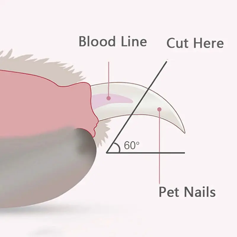 LED Pet Nail Clippers Scissors – Professional Grooming Tool for Pets - Image 4