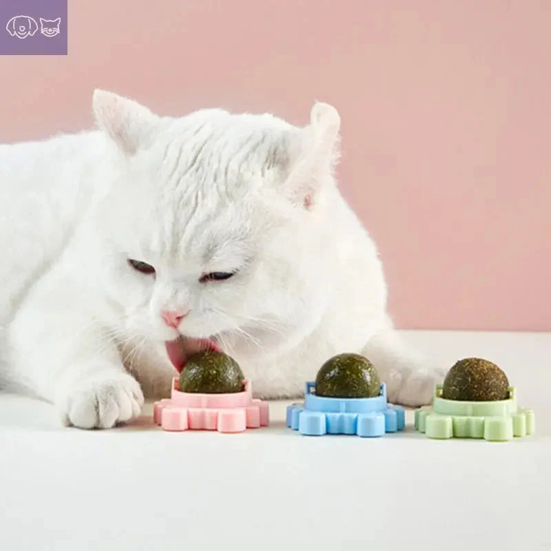 Natural Catnip Cat Rotatable Catnip Wall Ball - Image 2