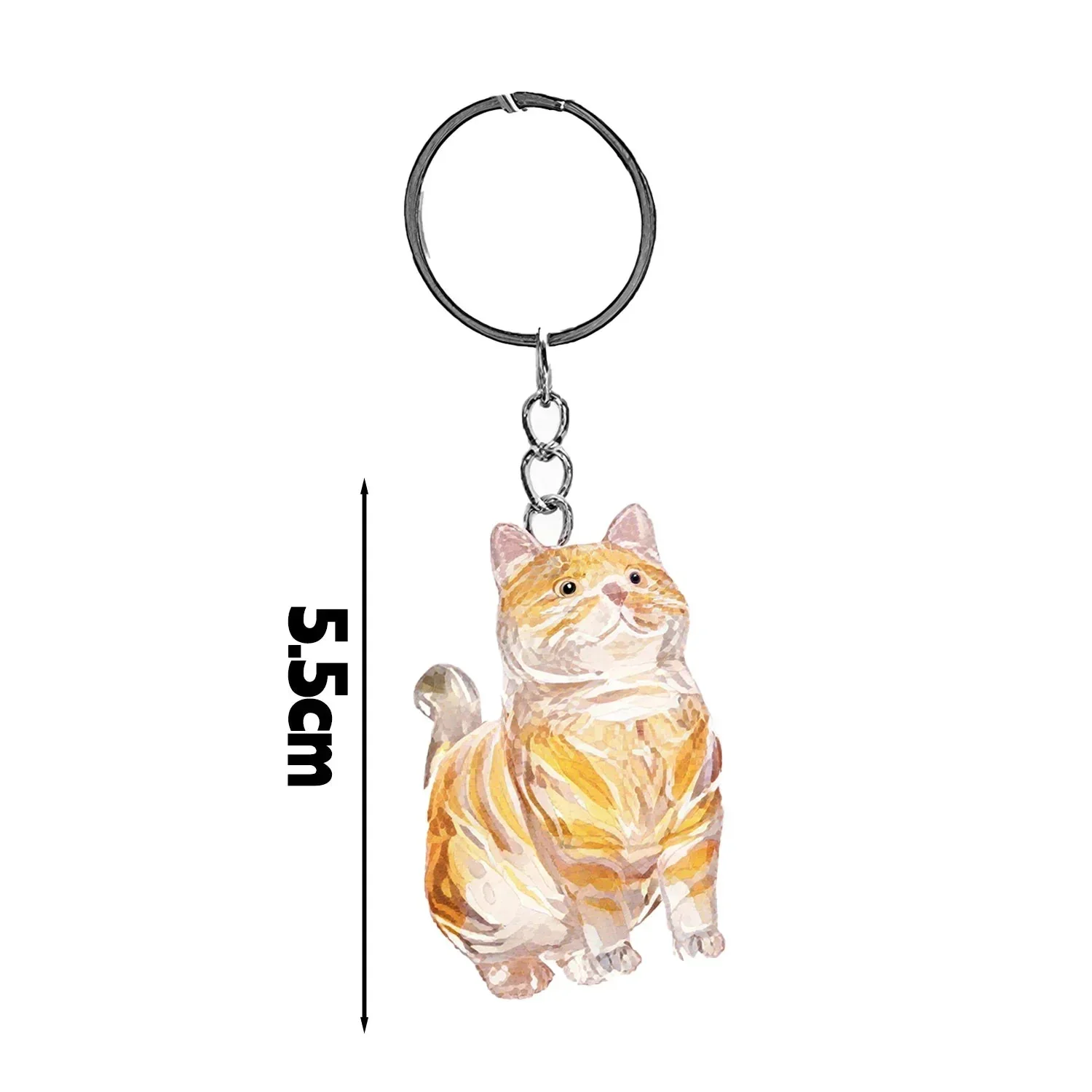 PawLocket™ - Image 12