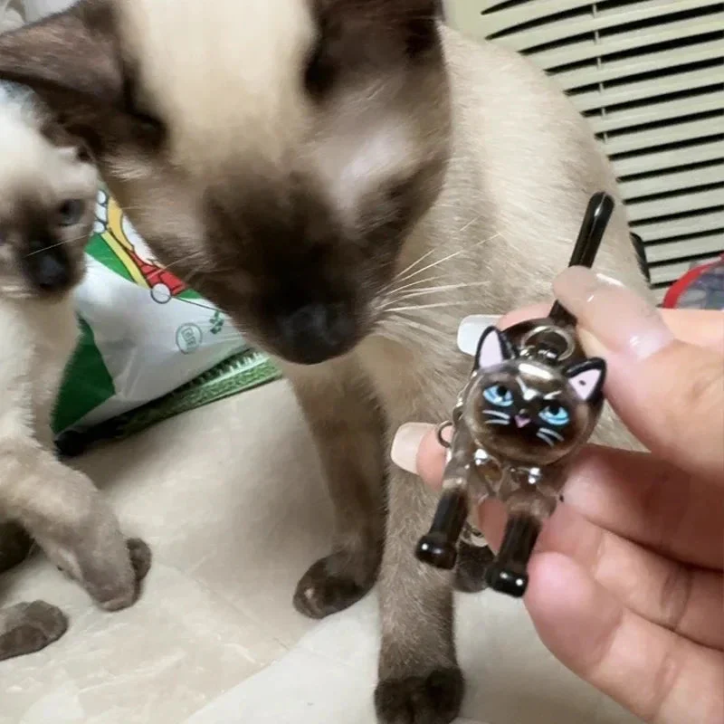 PawLocket™ - Image 2