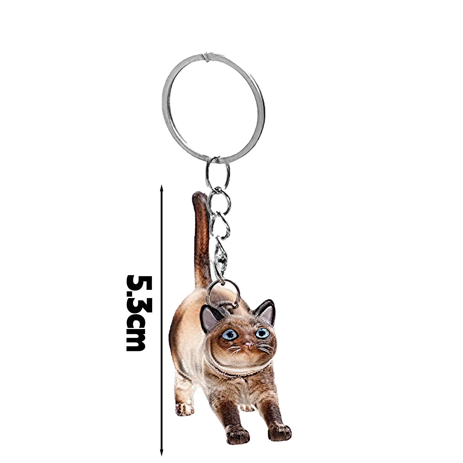 PawLocket™ - Image 7
