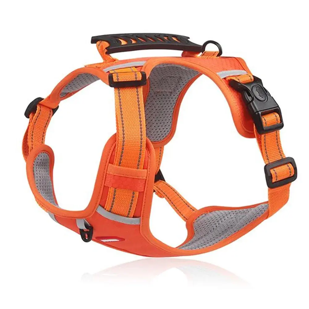 No Pull Dog Harness – Comfortable Control for Your Dog - Image 9