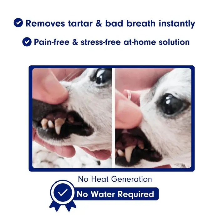 Pawsonic Clean™ - Image 6