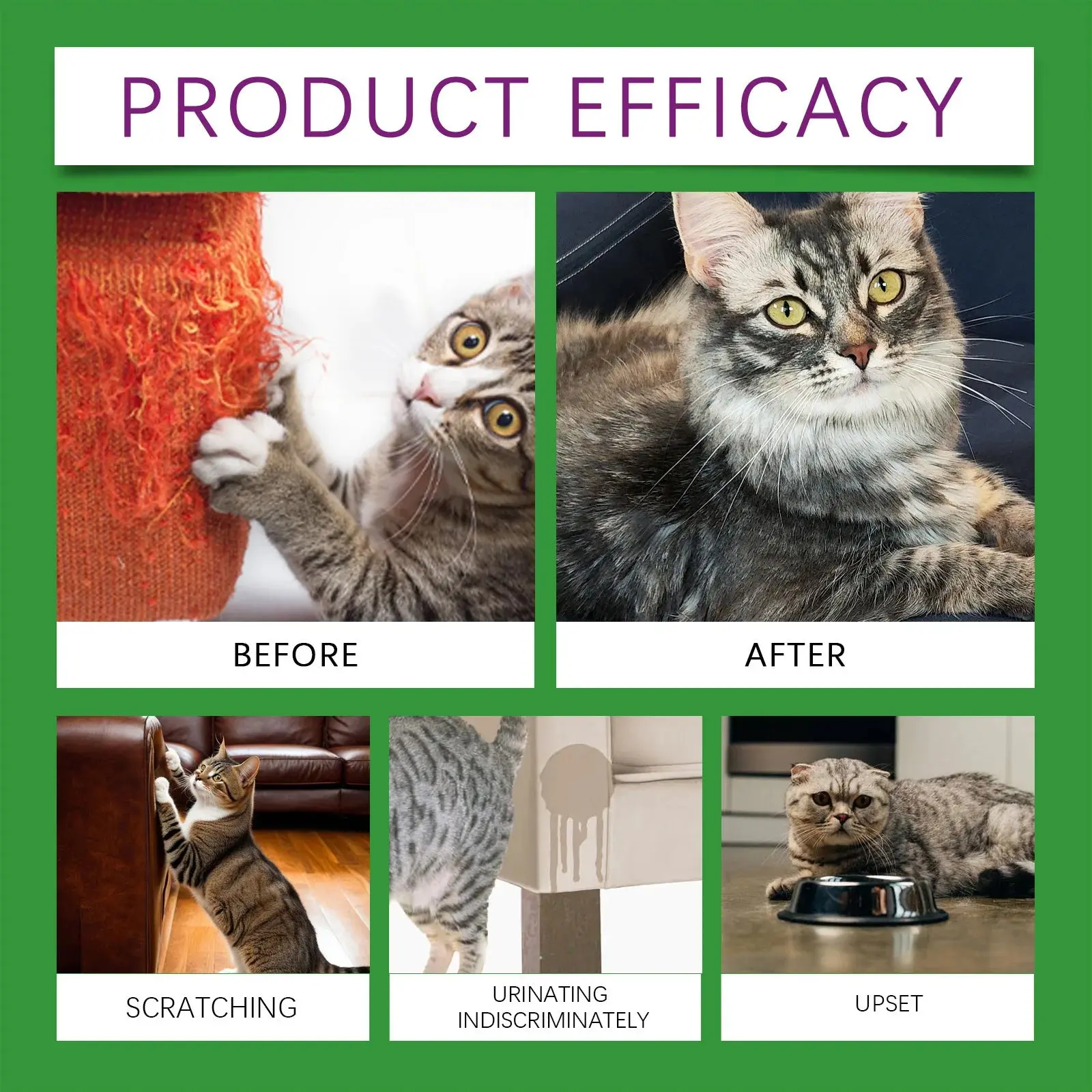 PawEase™ Diffuser Refill - Image 3