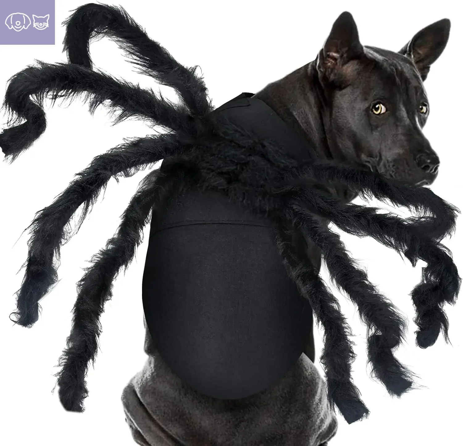 Pet Spider Costume - Halloween Spider Costume for Cats and dogs