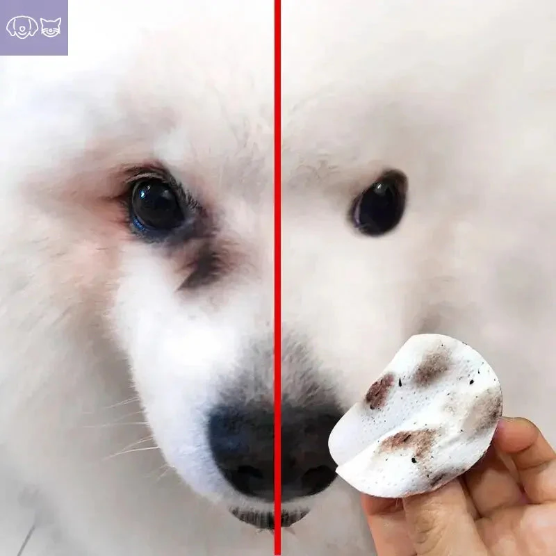 FreshGaze™ Eye Cleaning - Image 4