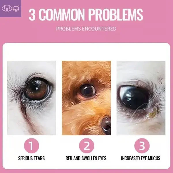 FreshGaze™ Eye Cleaning - Image 5