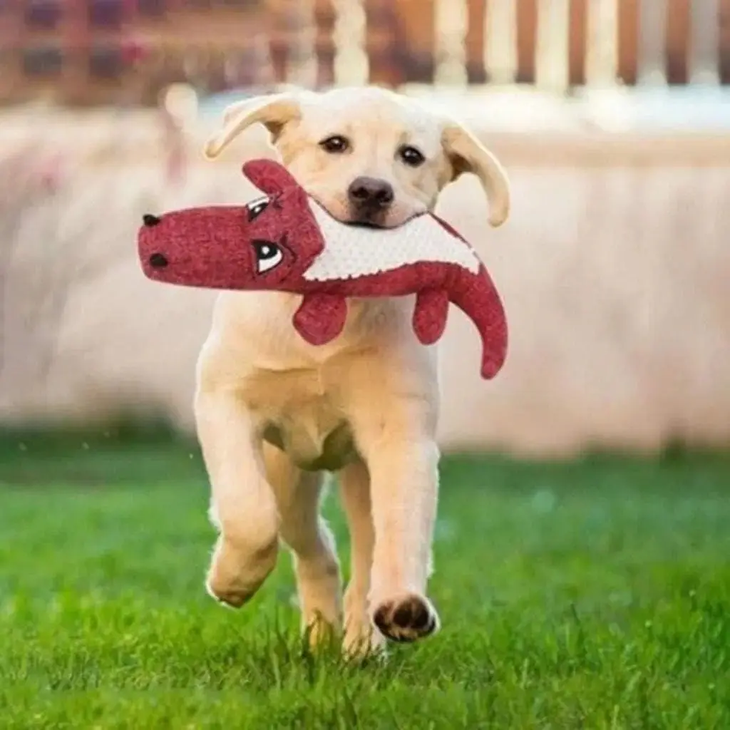 Squeaky crocodile plush for aggressive chewers🐾 - Image 5