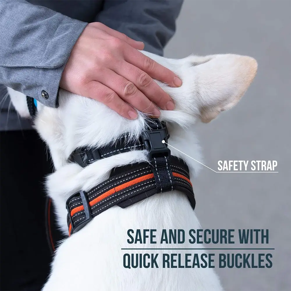 Head Halter Muzzle | QuickEase Anti-Bite & No-Pull Control for Dogs - Image 4