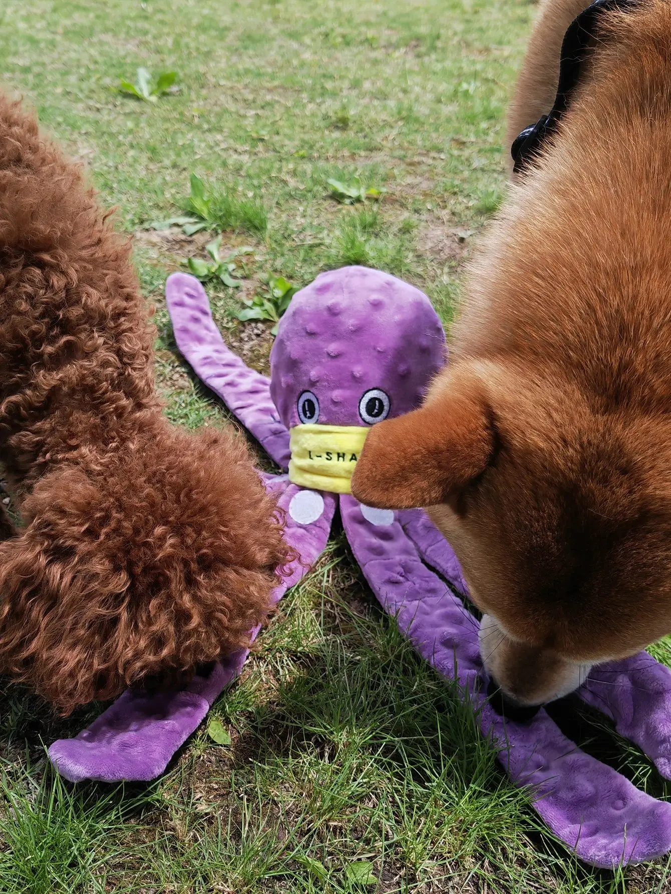 Snuffle Octopus Dog Toy – Interactive Slow Feeder and Enrichment Game - Image 5
