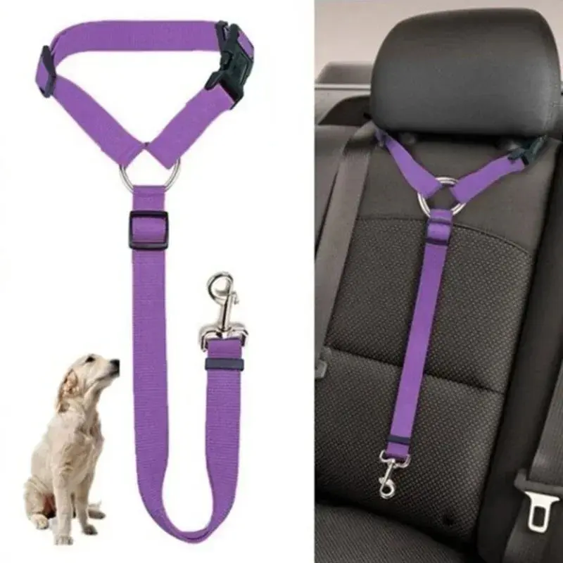 PawSecure™ Adjustable Leash