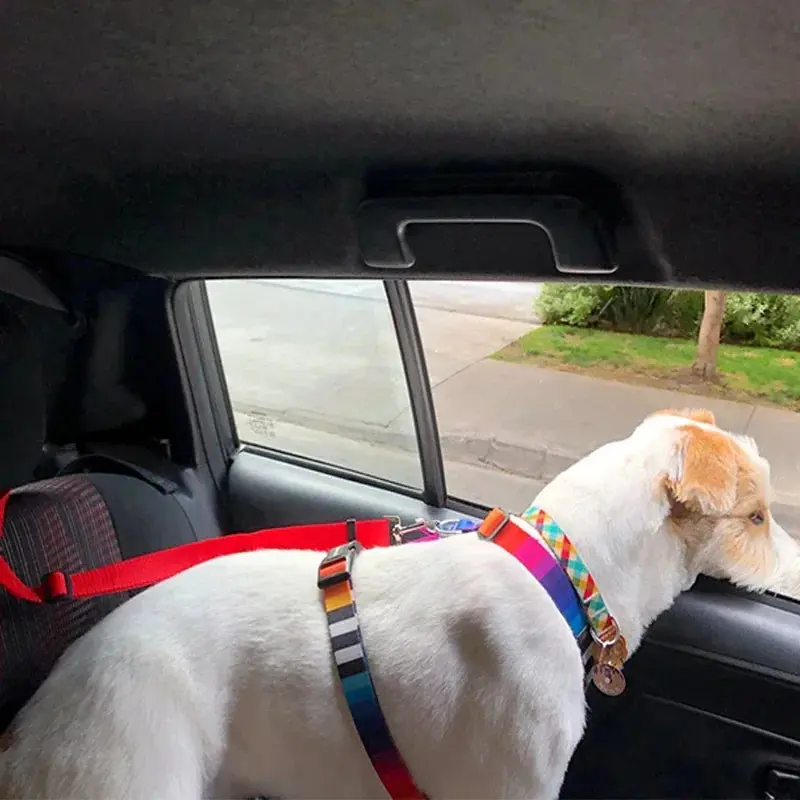 PawSecure™ Adjustable Leash - Image 4