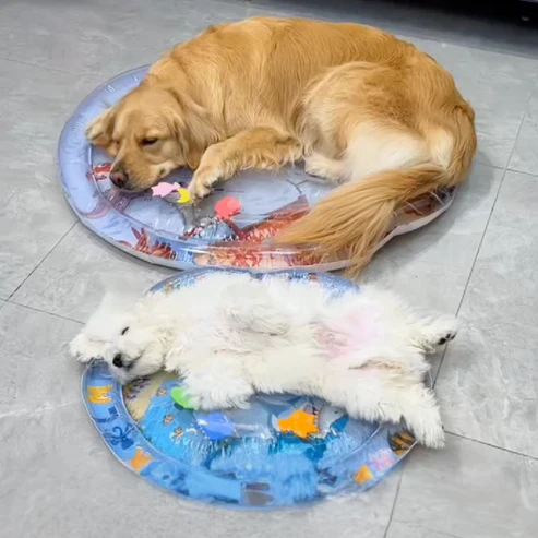 ChillTailz Water Bed™ - Image 6