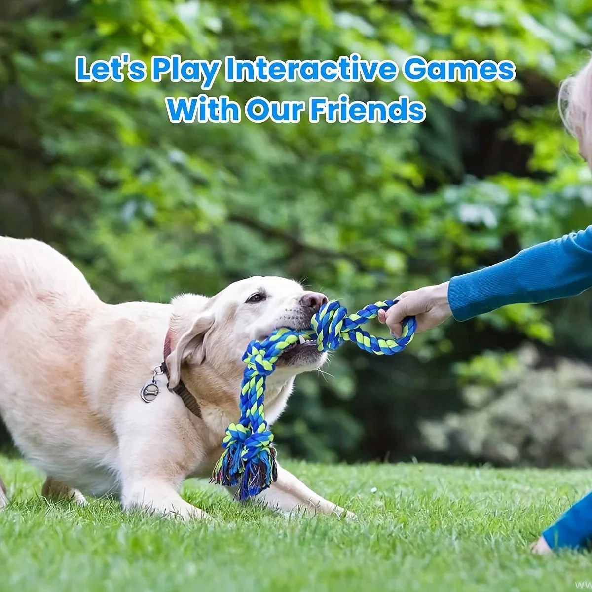 UNBREAKABLE CHEW TOY - DESIGNED FOR HEAVY CHEWERS - Image 4