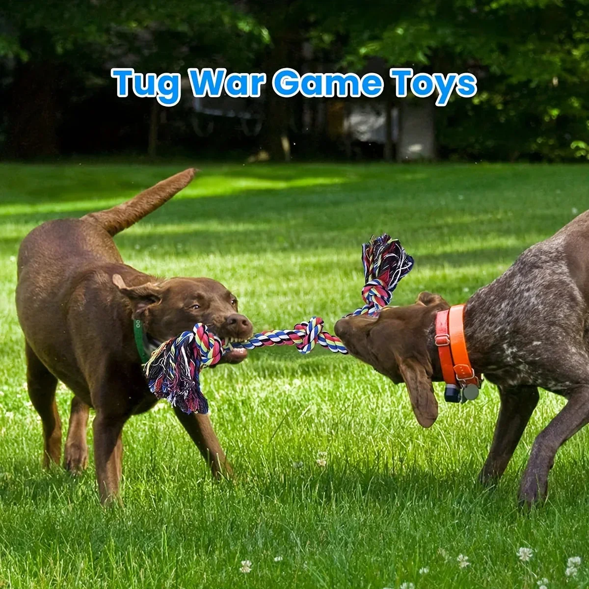 UNBREAKABLE CHEW TOY - DESIGNED FOR HEAVY CHEWERS - Image 5