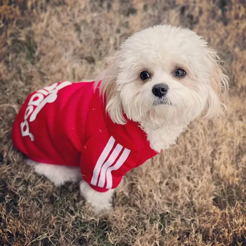 Adidog Pet Dog Clothes – Cotton Hooded Sweatshirt for All Sizes - Image 5